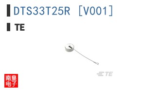DTS33T25R [V001]